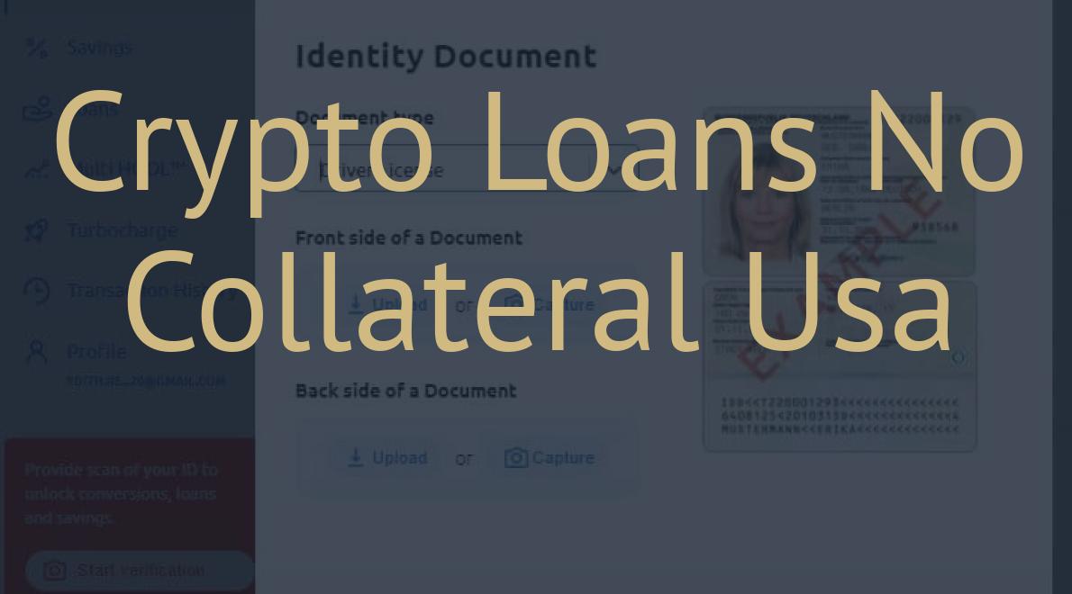 Crypto Loans No Collateral Usa
