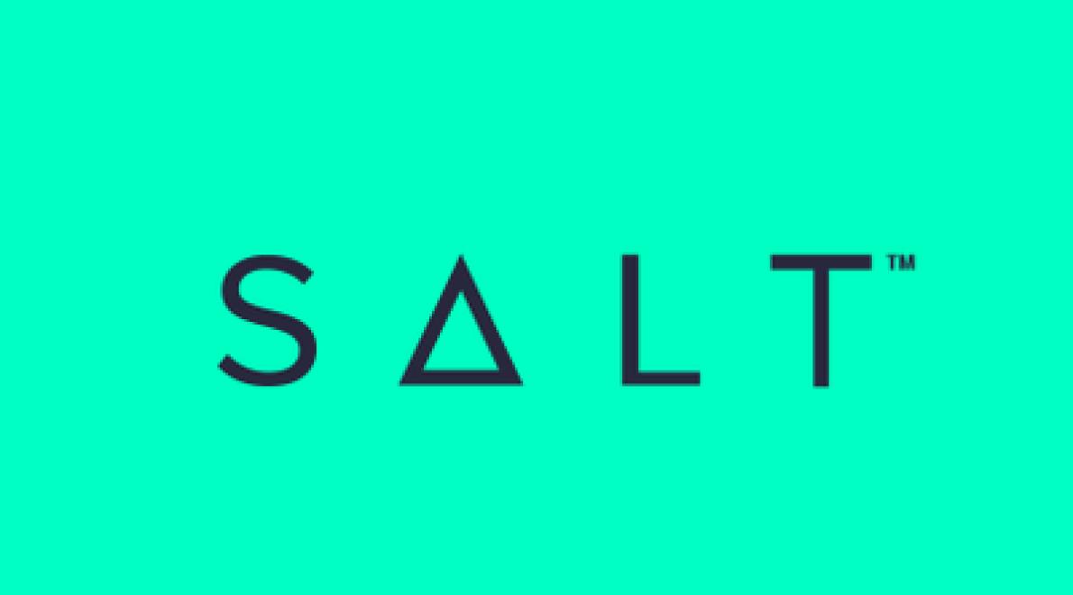 Salt Crypto Public Loans